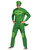 Mens Classic PJ Masks Gekko Superhero Suit Costume