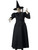 Evil Wicked Witch Women's Costume