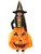Girl's Light Up Pumpkin Princess Witch Costume