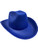 Adult's Rodeo Blue Cowboy Hat Costume Accessory