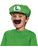 Child's Super Mario Brothers Luigi Hat And Mustache Accessory Kit