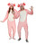 E-Z Axolotl Unisex Adult Costume