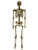 Deluxe 5' Posable Skeleton With LED Eyes Decoration
