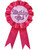 Happy Birthday Girl Party Celebration Ribbon Costume Accessory