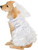Married Marriage Wedding Bride Girl Dog Pet Costumes