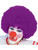 New Mens Womens Child Costume Purple Afro Clown Wigs