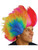 Deluxe Adult Rainbow Jester Windblown Hair Clown Wig