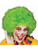 New Mens Womens Child Costume Green Afro Clown Wigs