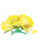 New Yellow Adult Luau Hawaiian Flower Hibiscus Costume Accessory Hair Clips