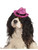 Pink Sparkle Glitter Cowgirl Cowboy Hat For Pet Dog