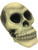 White Halloween Decor UV Reactive Prop Skull Decoration