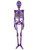 4' Purple Hanging Plastic Skeleton Creepy Halloween Decoration