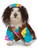 Groovy 60s 70s Party Hippie Tie Dye Pet Dog Costume