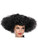 Adult Womens Lets Dance Medievil Renaissance Black Curly Afro Wig