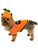 Pumpkin Dog Pet Costumes