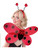 Women's Economy Red and Black Lady Bug Costume Accessory Set