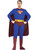 Adults Superman Returns Standard Costume