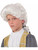 Adult Boys Colonial Hair Wig Revolutionary War Costume Accessory