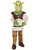 Shrek Deluxe Halloween Costume Child's