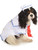 Sailor Boy Navy Naval Dog Pet Costumes