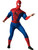 Adult's Mens Marvel Comics Universe Amazing Spiderman Muscle Costume