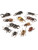 Scarab Beetles Assorted 12 Pack Fake Plastic Insect Bug Toys