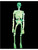 5' Glow in the Dark Prop Skeleton Halloween Decoration