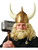Viking Raider Savage Norse Blonde Wig & Beard Set Costume Accessory