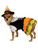 Candy Corn Witch Dog Pet Costumes