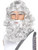 Mount Olympus Zeus Neptune Greek God Grey Beard And Eyebrows Costume Accessory