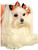 Halloween Black Orange Spider Hair Bows Pet Dog Costume Accessory