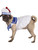 Ghostbusters Stay-Puft Stay Puft Puffed Marshmallow Man Dog Pet Costumes