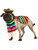 Cinco de Mayo Fiesta Striped Mexican Serape Poncho Dog Pet Costumes