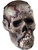 Gray Halloween Decor Rotting Replica Zombie Skull Prop Decoration