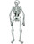 2 Sided Halloween Jointed Creepy Spooky Skeleton Figurine Prop Decoration 4' 7"