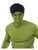 Adult Men's The Avengers 2 Black Hulk Wig