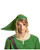 Adults Nintendo Legend Of Zelda Link Green Hat Costume Accessory