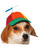 Multicolored Propeller Hat Headpiece Dog Costume Accessory