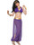 Adult's Womens Desert Princess Harem Belly Dancer Purple Bra Costume Accessory