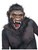 Adult's Deluxe Dawn Of The Planet Of The Apes Caeser Mask Costume Accessory
