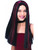 Adult Womens Costume Long Black and Burgundy Streaked Straight Witch Wig