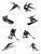 Set Of Winter Sports Black Silhouette Cutouts Party Decoration