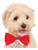 Formal Circus Clown Red Bow Tie Pet Collar Dog Costume Accessory