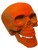 Orange Skeleton Skull 6" Prop Haunted House Halloween Decor Decoration