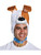 Adult's The Secret Life Of Pets Max Terrier Headpiece Costume Accessory