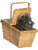 New The Wizard of Oz Costume Accessory Toto in a Basket