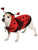 Classic Red And Black Cute Ladybug Insect Pet Dog Costume