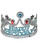 Happy Birthday Crown Tiara Princess Party Accessory Hat