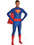 Adult's Superman Unisex Super Hero Style Costume