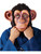 Adult Goofy Big Ear Chimp Monkey Animal Mask Costume Accessory